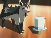 Pokemon: Spełnione Marzenia