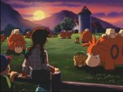 Pokemon: Spełnione Marzenia