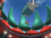 Pokemon: Spełnione Marzenia