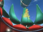 Pokemon: Spełnione Marzenia