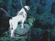 Pokemon: Spełnione Marzenia