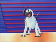 Pokemon: Spełnione Marzenia