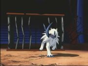 Pokemon: Spełnione Marzenia
