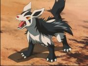 Pokemon: Spełnione Marzenia