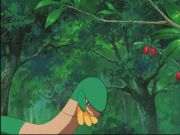 Pokemon: Spełnione Marzenia