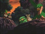 Pokemon: Spełnione Marzenia