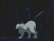 Pokemon: Spełnione Marzenia