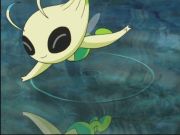 Pokemon: Spełnione Marzenia