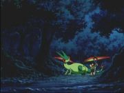 Pokemon: Spełnione Marzenia