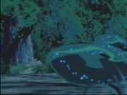 Pokemon: Spełnione Marzenia