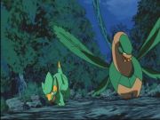 Pokemon: Spełnione Marzenia