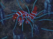 Pokemon: Spełnione Marzenia