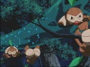 Pokemon: Spełnione Marzenia