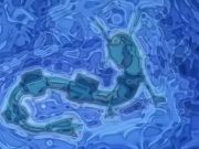 Pokemon: Cel Deoxys
