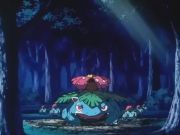 Pokemon: Cel Deoxys