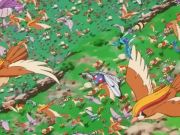 Pokemon: Cel Deoxys