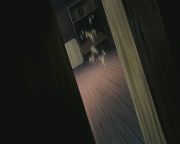 Pokemon: Lucario and the Mystery of Mew