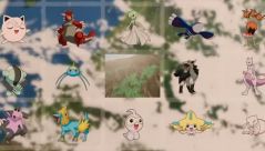 Pokémon Ranger and the Temple of the Sea