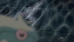 Pokémon Ranger and the Temple of the Sea