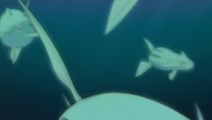 Pokémon Ranger and the Temple of the Sea