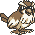Pidgey