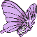 Venomoth