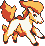 Ponyta