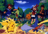 pokemon