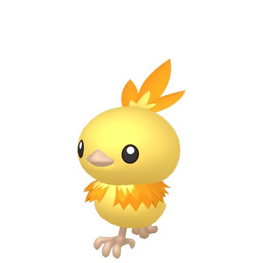 Torchic — duży render postaci w wariancie shiny