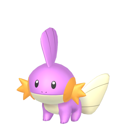 Mudkip — duży render postaci w wariancie shiny