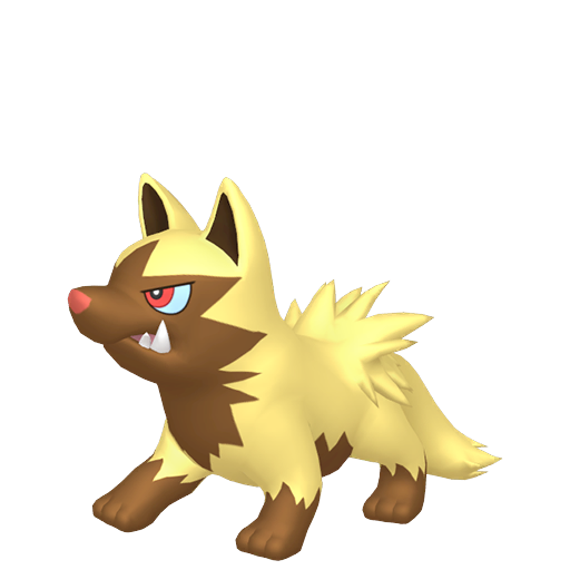 Poochyena — duży render postaci w wariancie shiny