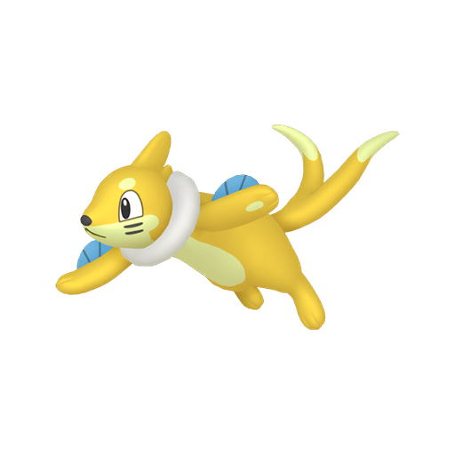 Buizel — duży render postaci w wariancie shiny