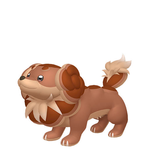 Dachsbun — duży render postaci w wariancie shiny