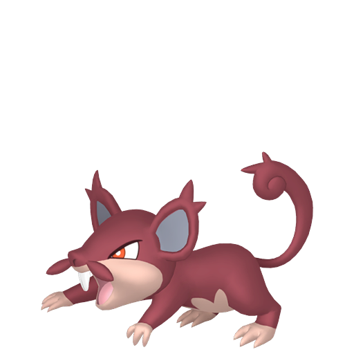 Rattata (z Aloli) — duży render postaci w wariancie shiny