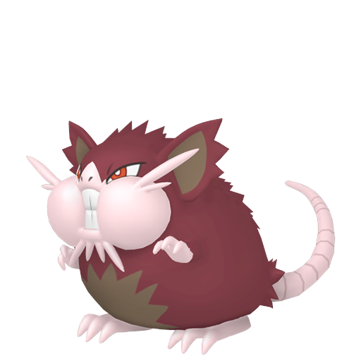 Raticate (z Aloli) — duży render postaci w wariancie shiny