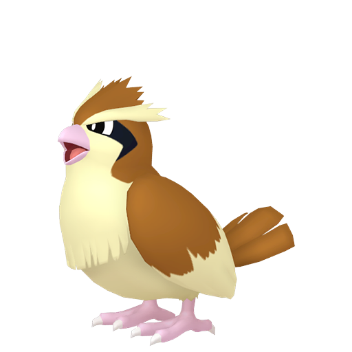 Pidgey — duży render postaci w zwykłym ubarwieniu