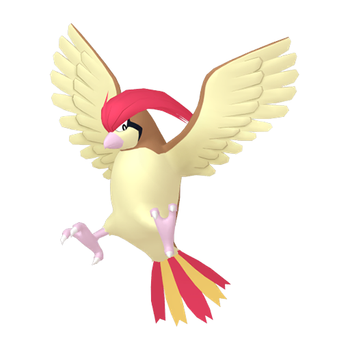 Pidgeotto — duży render postaci w zwykłym ubarwieniu
