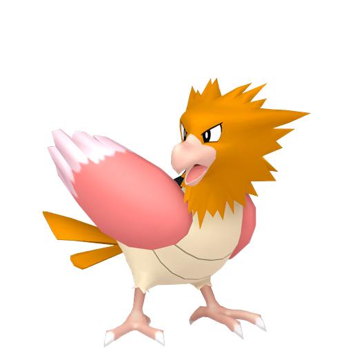 Spearow — duży render postaci w zwykłym ubarwieniu