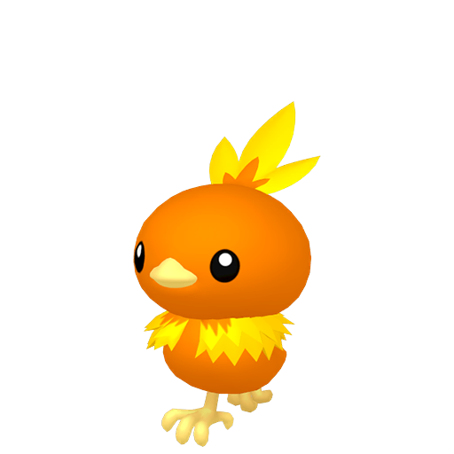 Torchic — duży render postaci w zwykłym ubarwieniu