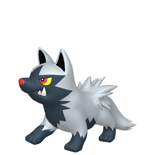 Poochyena — duży render postaci w zwykłym ubarwieniu