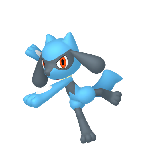 Riolu — duży render postaci w zwykłym ubarwieniu