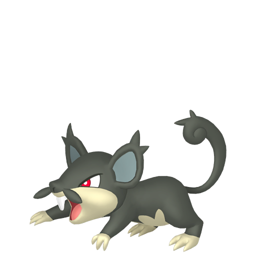 Rattata (z Aloli) — duży render postaci w zwykłym ubarwieniu