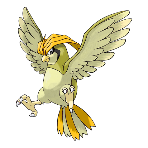 Pidgeotto w wariancie shiny