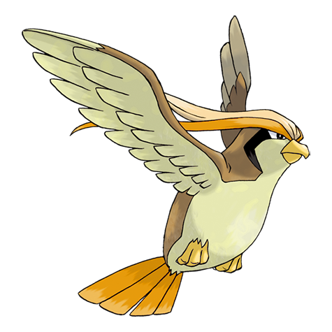 Pidgeot w wariancie shiny