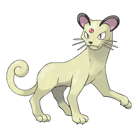 Persian w wariancie shiny