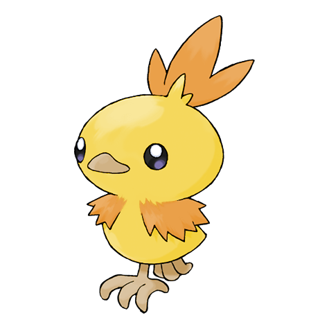 Torchic w wariancie shiny