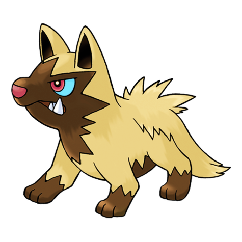 Poochyena w wariancie shiny