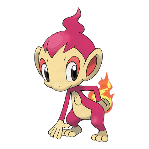 Chimchar w wariancie shiny