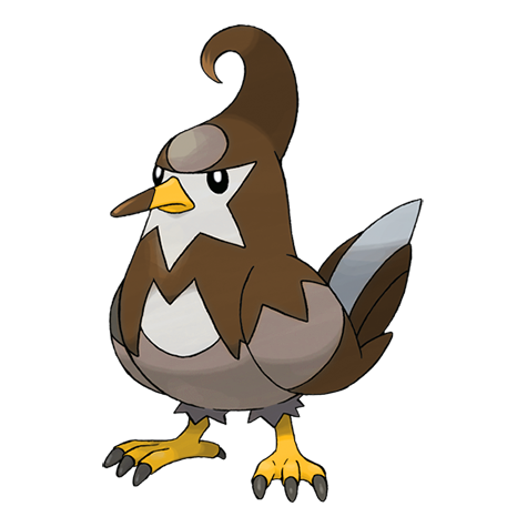 Staravia w wariancie shiny