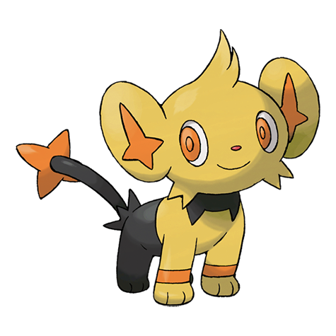 Shinx w wariancie shiny